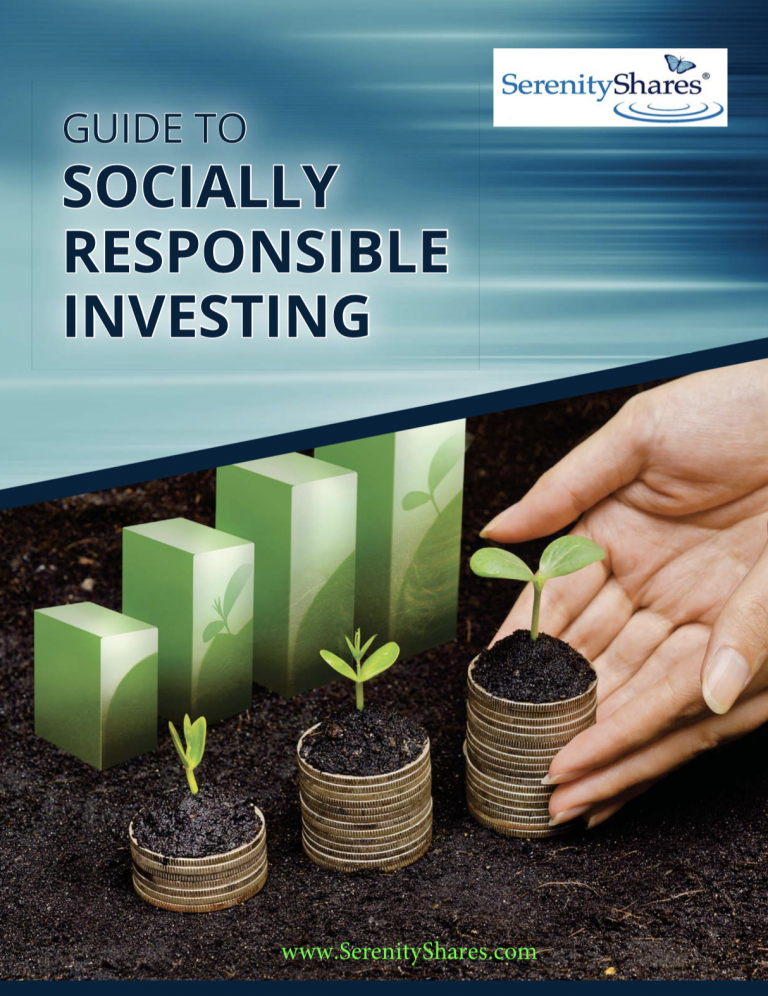 Guide To Socially Responsible Investing – City First Foundation